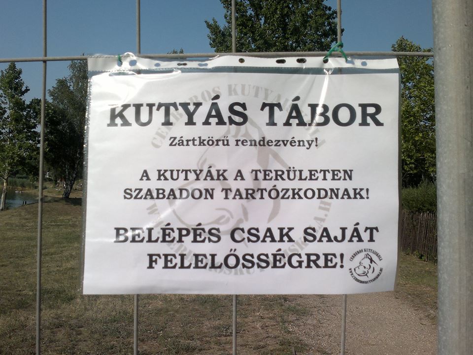 tavir2014.jpg