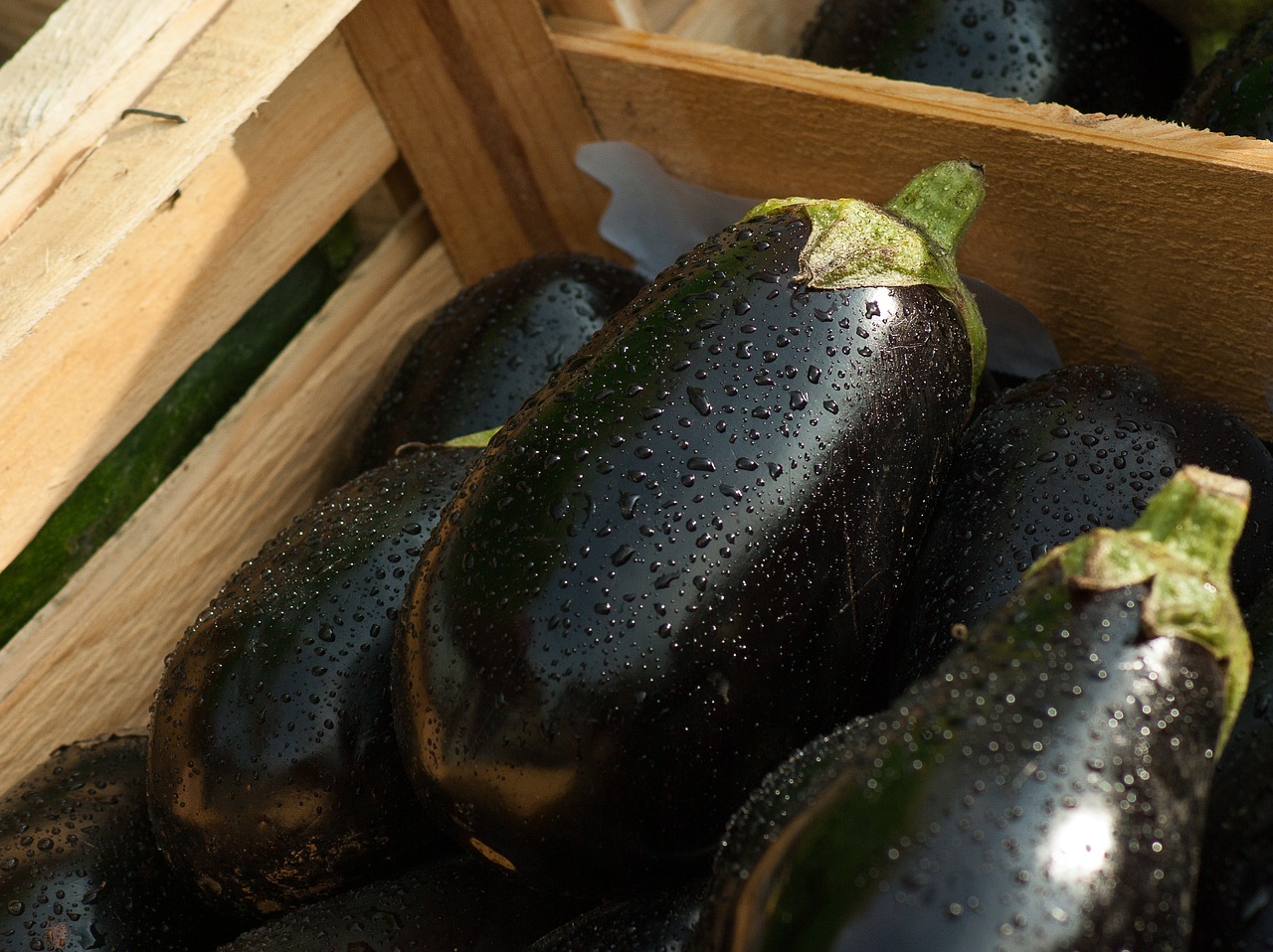 eggplant-1707629_1280.jpg