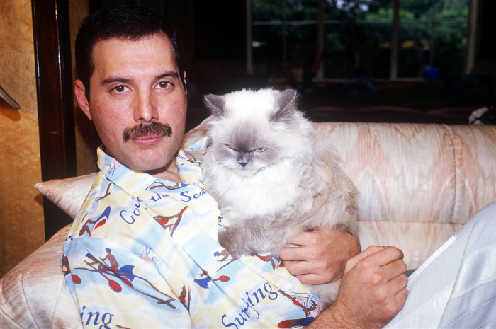 freddie-with-cat-1985-1986.jpg