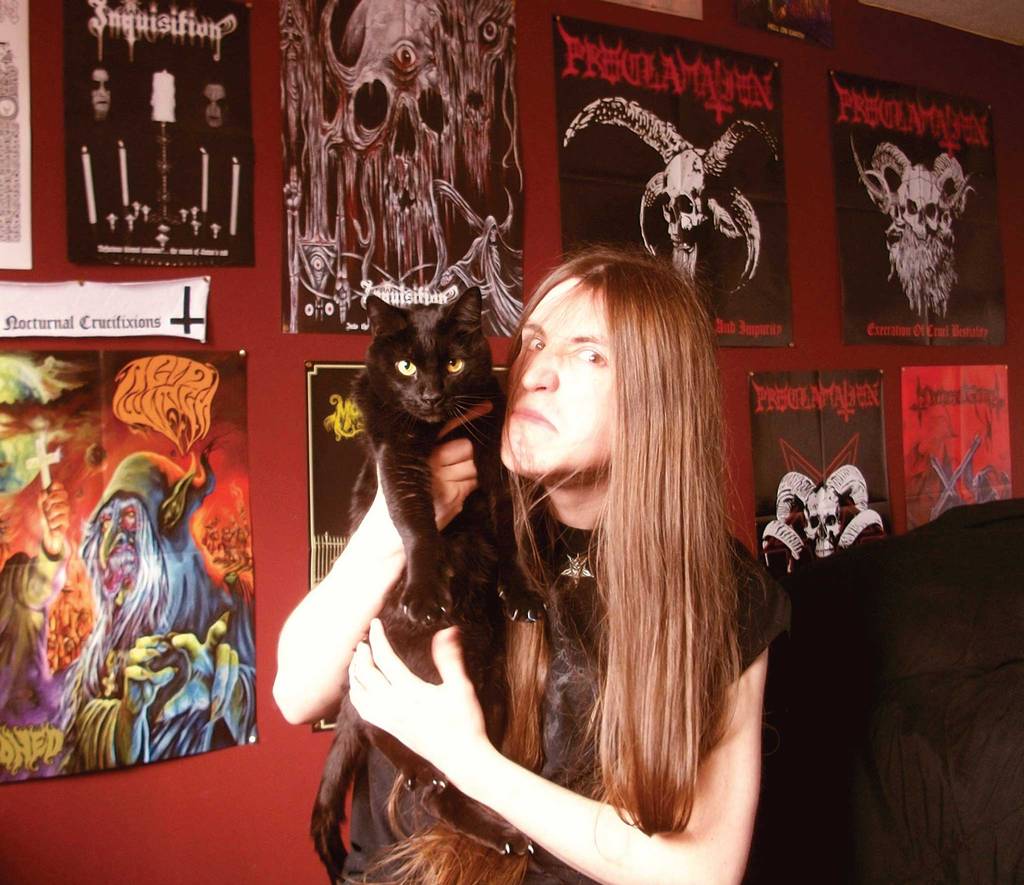 metal cats 4.jpg