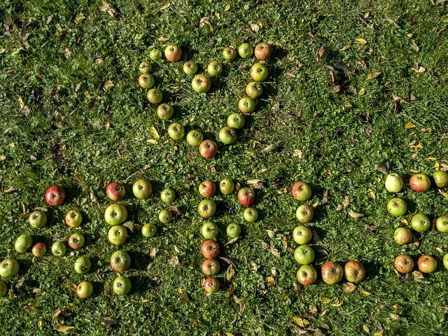Hatékony szótanulás, még több tipp
