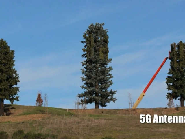 2021-es előrejelzések