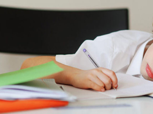 Nyelvtani applikációk laptopra és telefonra