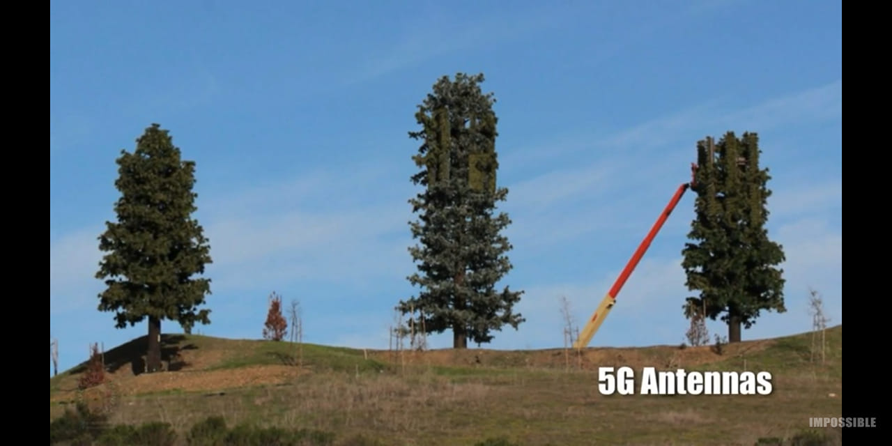 5g-antennas-masquerading-as-trees.jpg