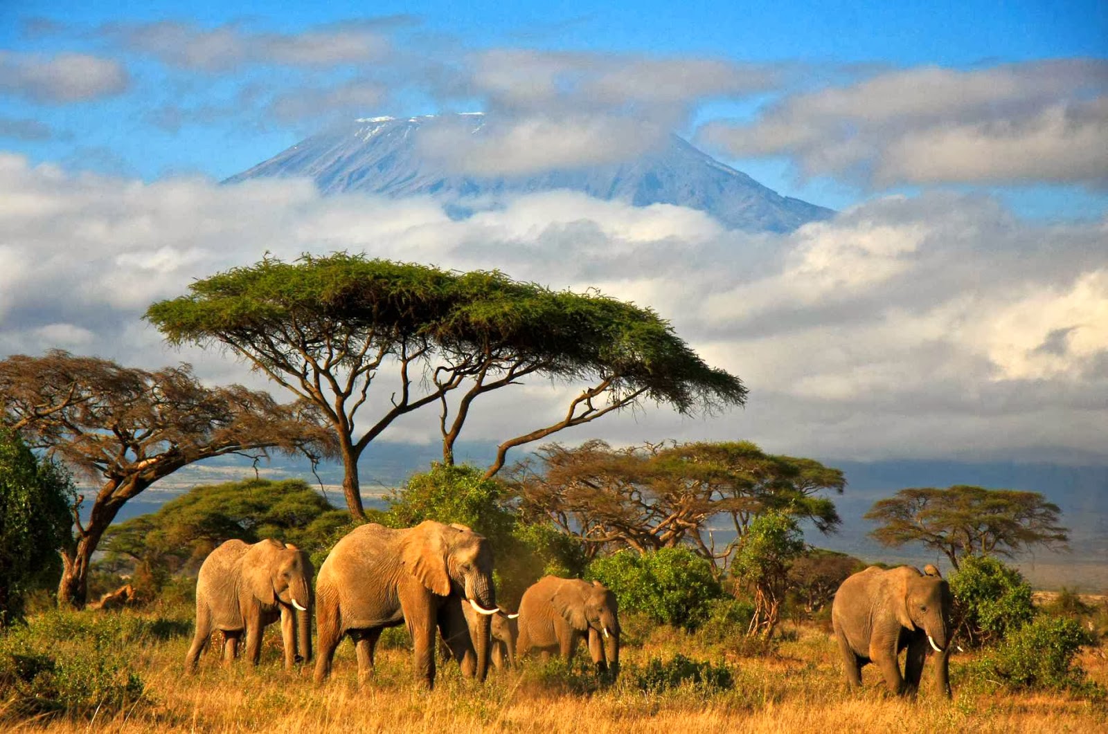 tanzania_original_9619.jpg