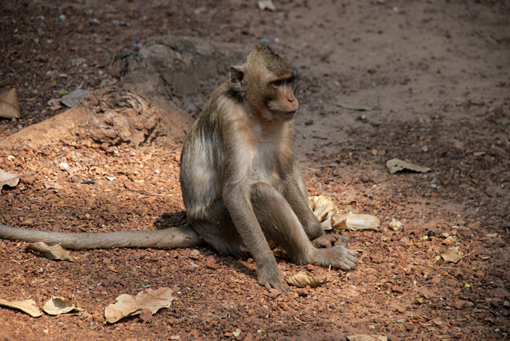 angkor-8.jpg