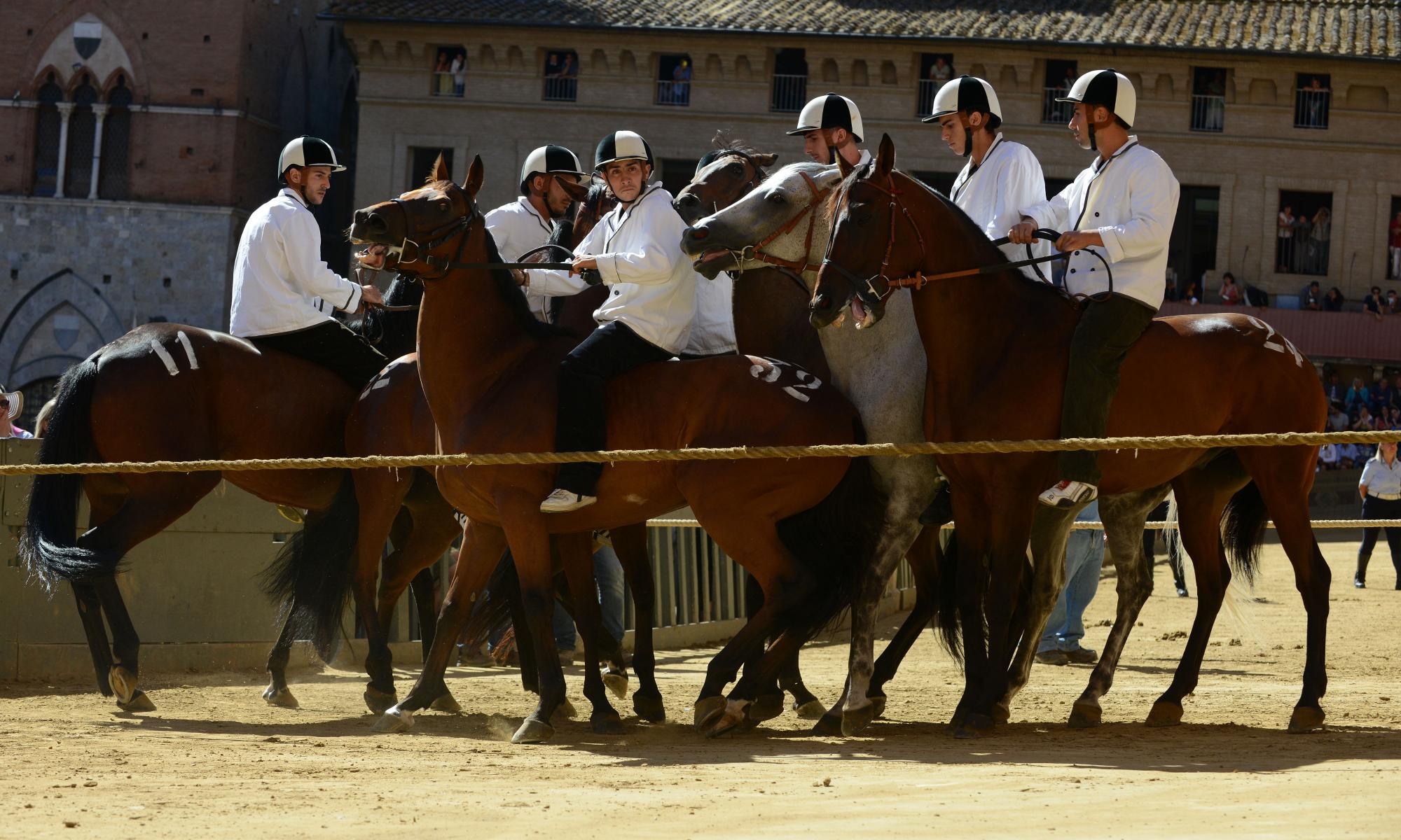 palio-4.jpg