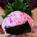 Japan’s Best Rice Ball Snack from Jichan’s Onigiri-ya