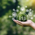 Fakultatív minősítésből jól felfogott érdek: üzleti iránytűvé vált az ESG