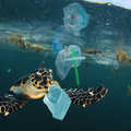 A műanyagokat használják utazáshoz a korábban helyhez kötött gerinctelen fajok