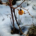 Mi legyen a neve ennek a fotómnak?