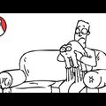 Simon's cat