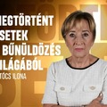 Megtörtént esetek a bűnöldözés világából