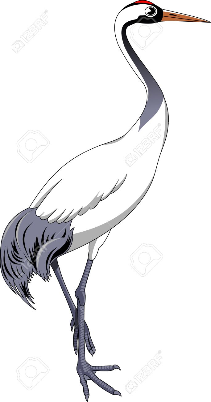 69116280-cartoon-grue-oiseau-vector-illustration-avec-des-degrades-simples.jpg