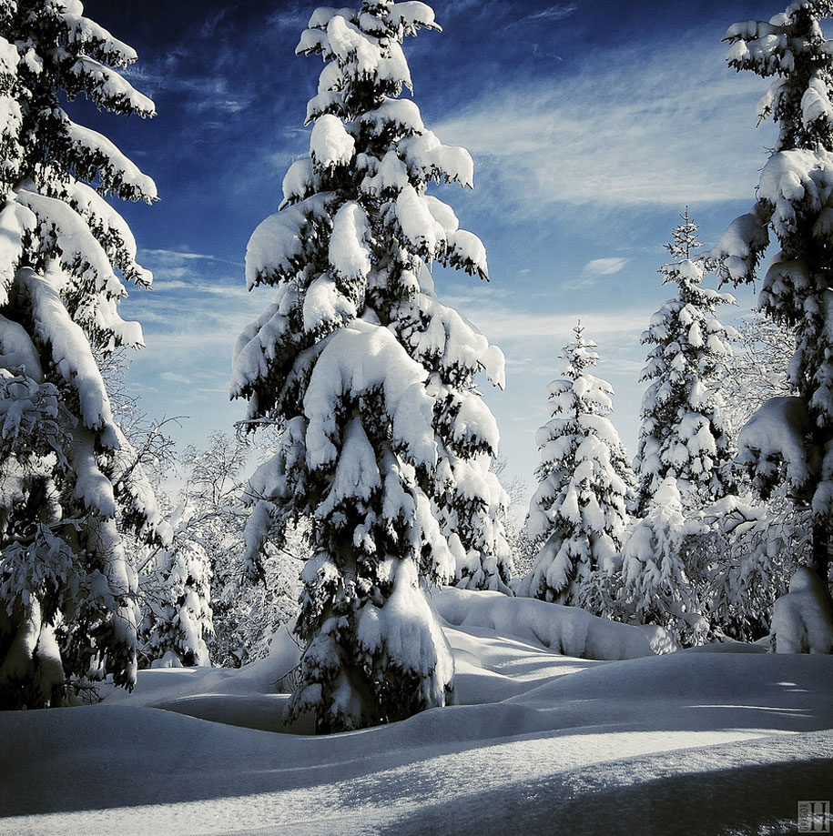amazing-winter-landscapes-13.jpg