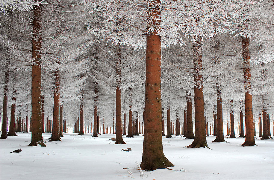 amazing-winter-landscapes-9.jpg