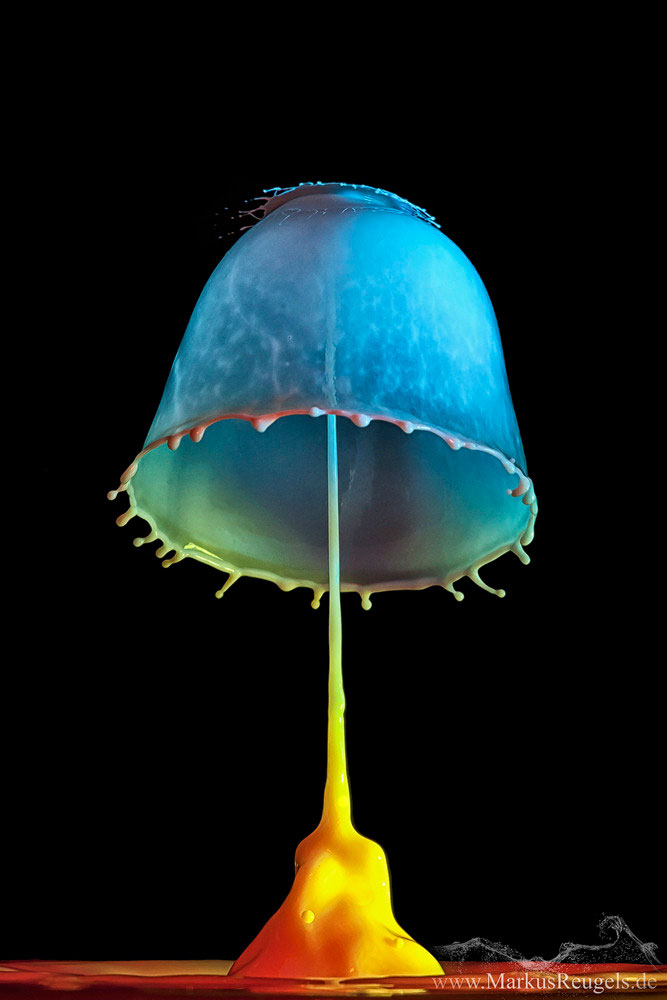 high-speed-water-drop-photography-by-markus-reugels-14.jpg