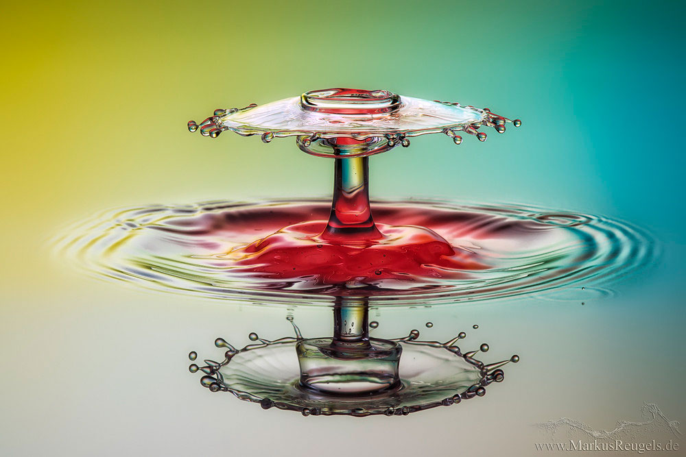 high-speed-water-drop-photography-by-markus-reugels-8.jpg