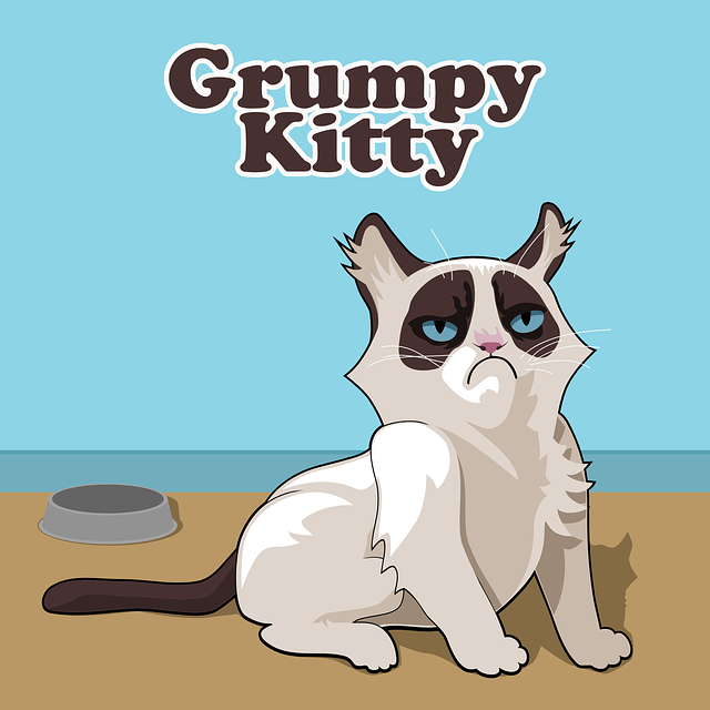 grumpykitty.png