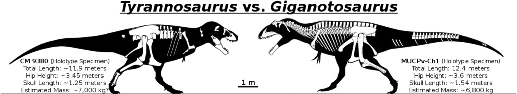 tyrannosauurs_vs_giganotosaurus_1.png