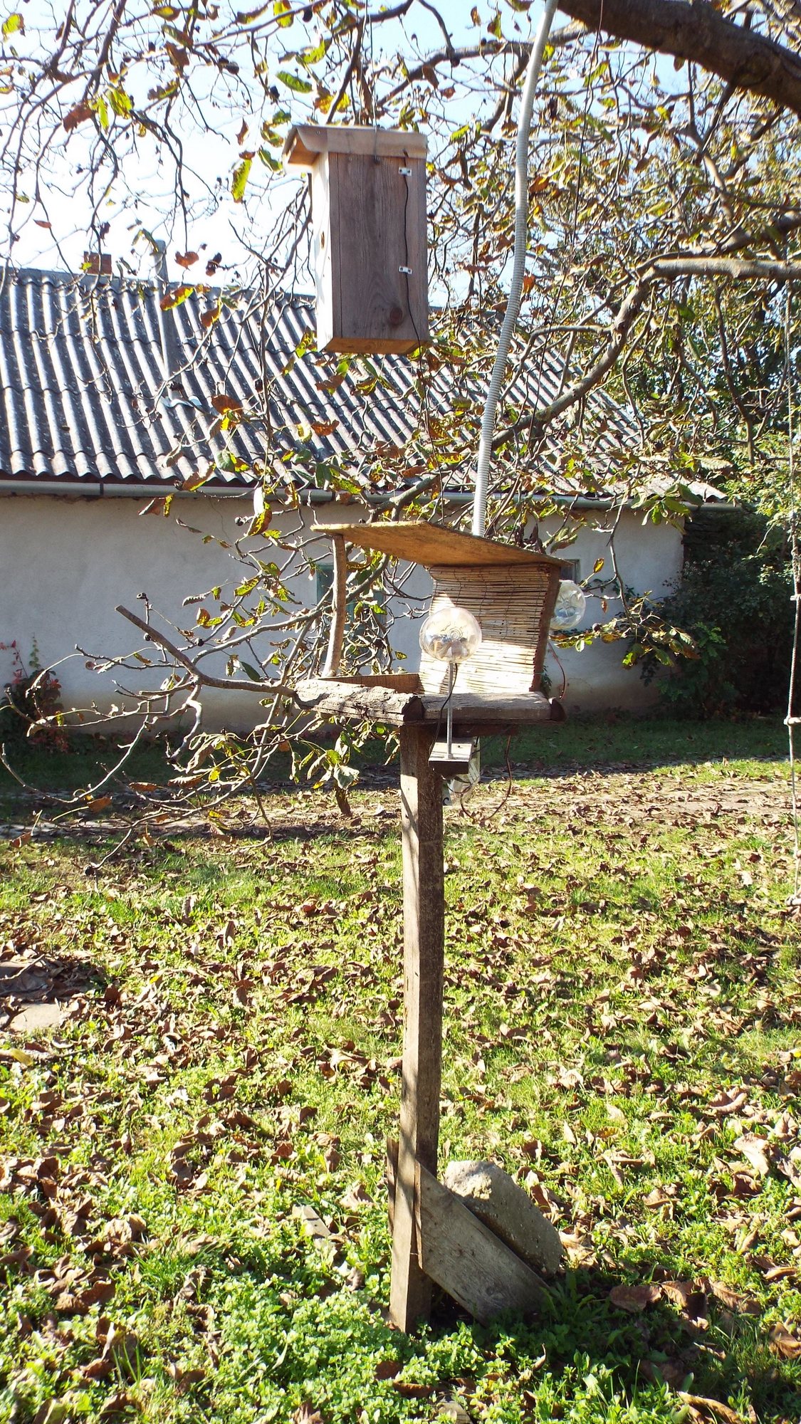 Az etető a földön egy oszlopon található. Így a szél nem mozgatja. A fáról lóg az odú, benne az infrakamerával.