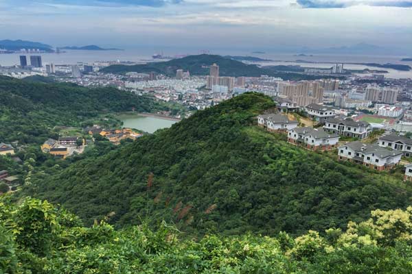 bird-view-from-mount-daqing-by-pan-lianggan.jpg