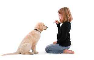 10 szabály, amit a kutya nevelése során érdemes betartanod