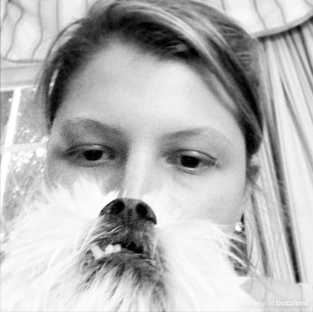 DogBeard3.jpg