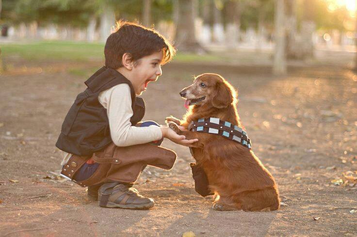 Star-Wars-cosplay-kids-dogs-1092052.jpg