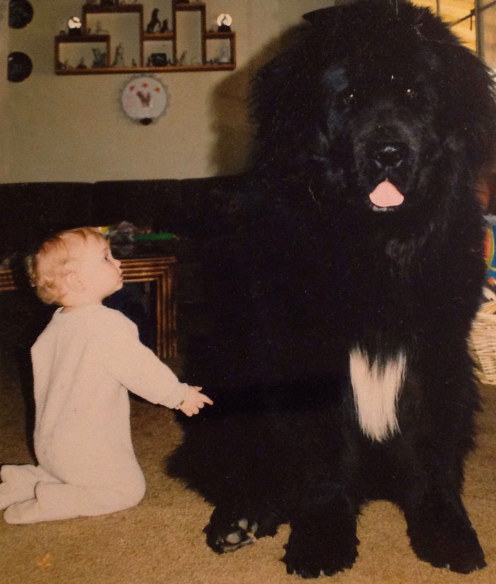 cute-big-dogs-and-babies-4.jpg