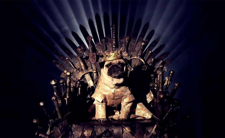 cute-pugs-game-of-thrones-pugs-of-westeros-5.jpg