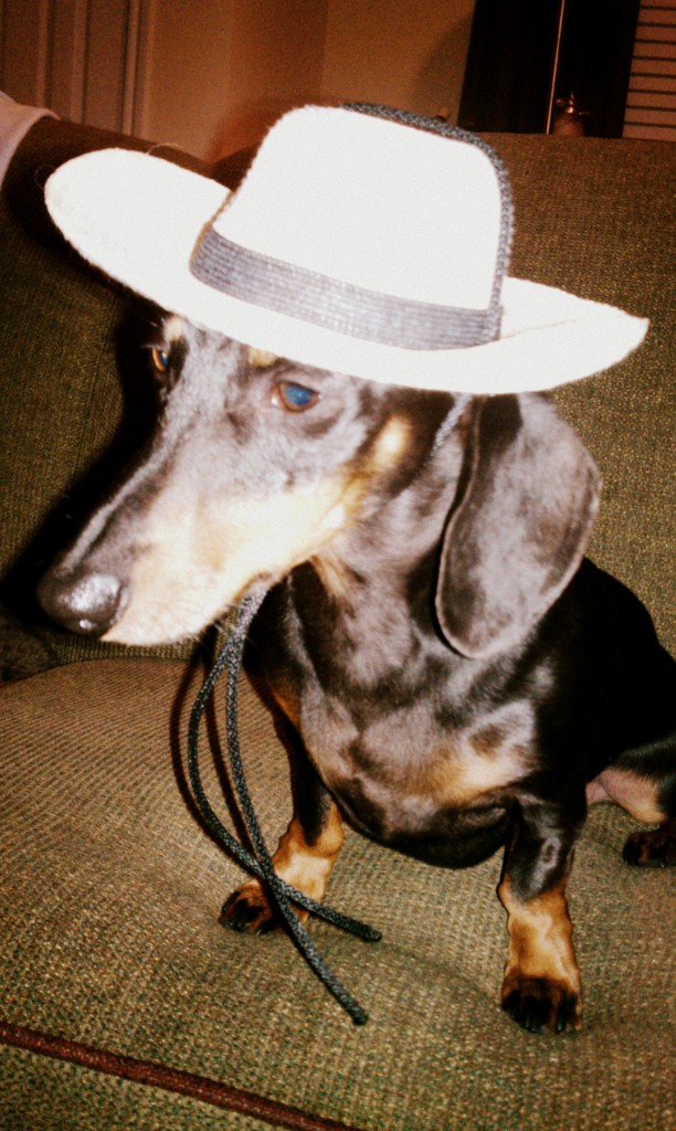 dog-cowboy-hat-612x1024.jpg