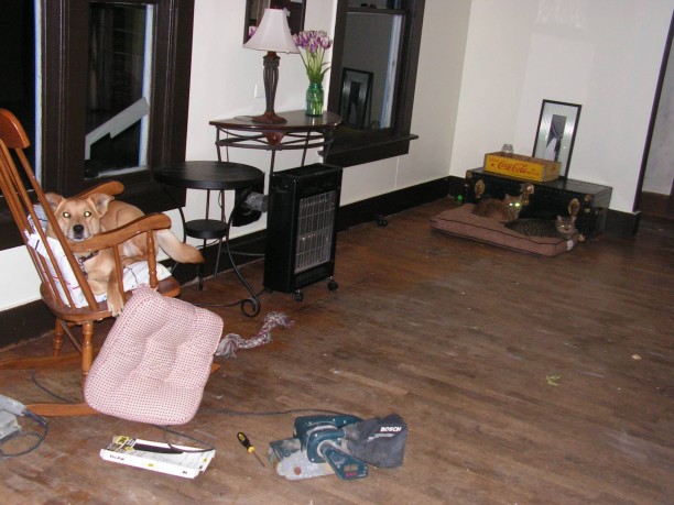 dog-steals-chair-612x459.jpg