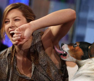 dogs_sniffing_celebrities_16.jpg