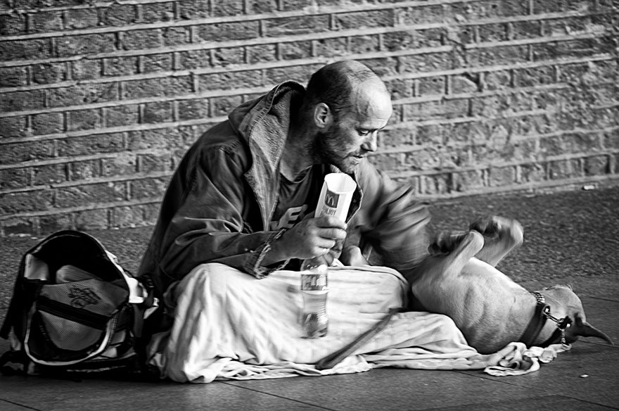 homeless-dogs-and-owners-11.jpg