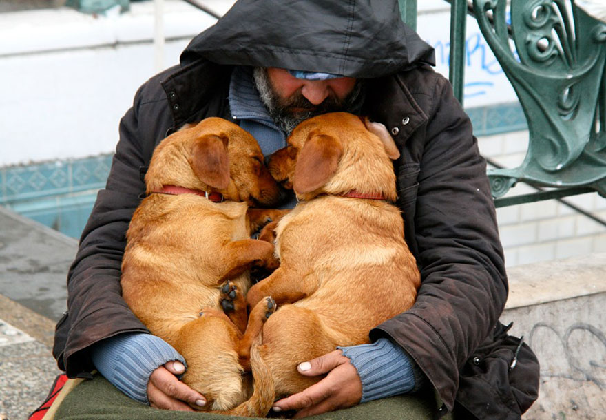 homeless-dogs-and-owners-12.jpg