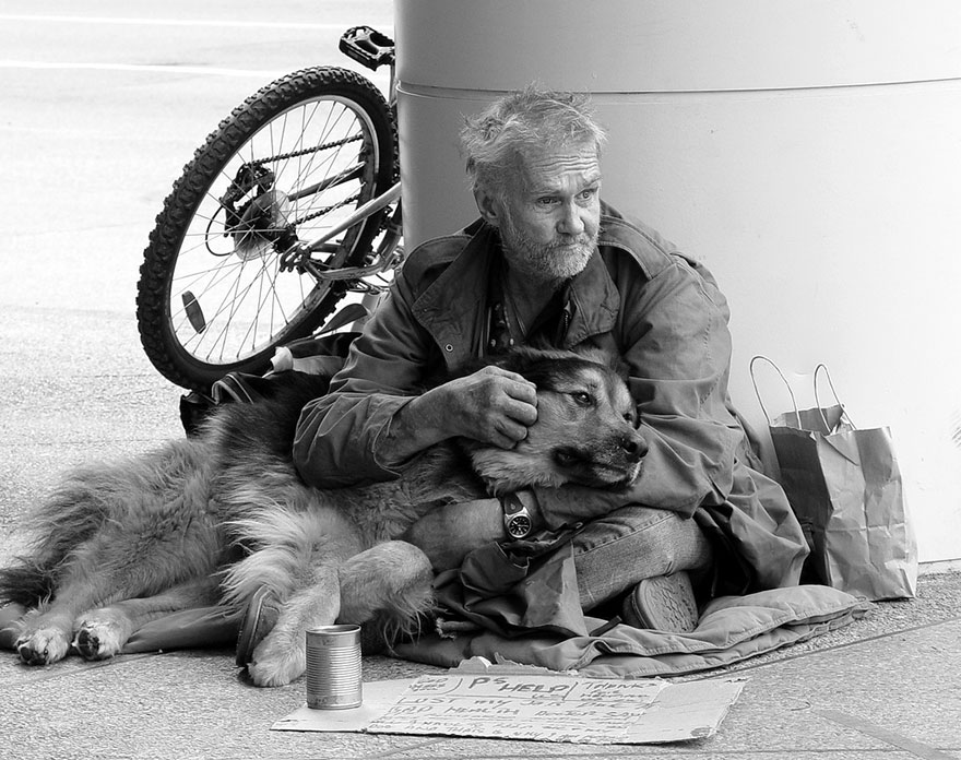 homeless-dogs-and-owners-16.jpg