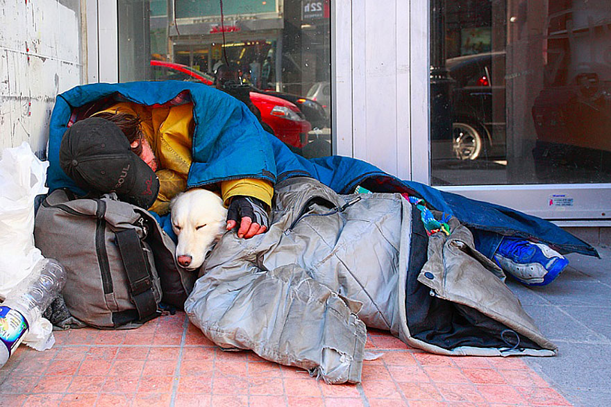 homeless-dogs-and-owners-2.jpg