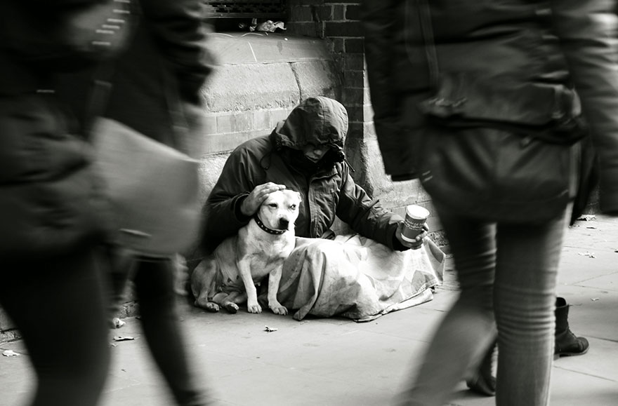 homeless-dogs-and-owners-6.jpg