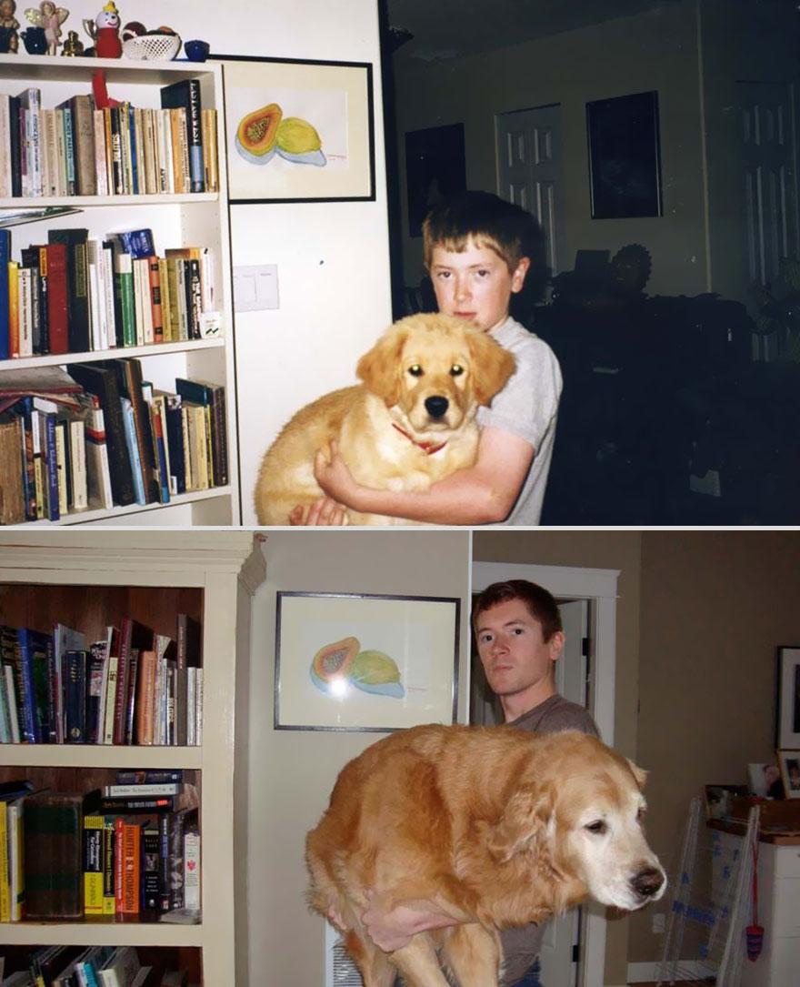 pets-before-after-22.jpg