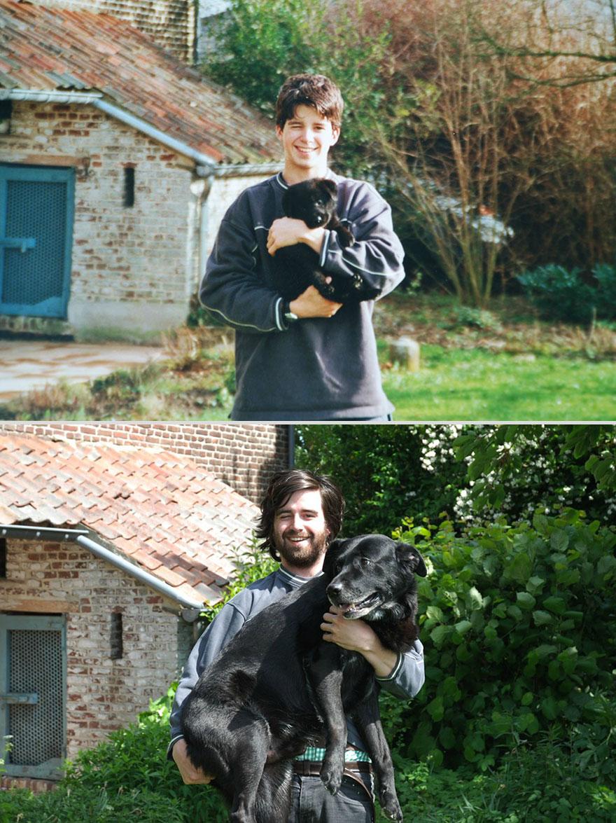 pets-before-after-7.jpg