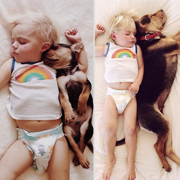 toddler-naps-with-puppy-theo-and-beau-2-1.jpg