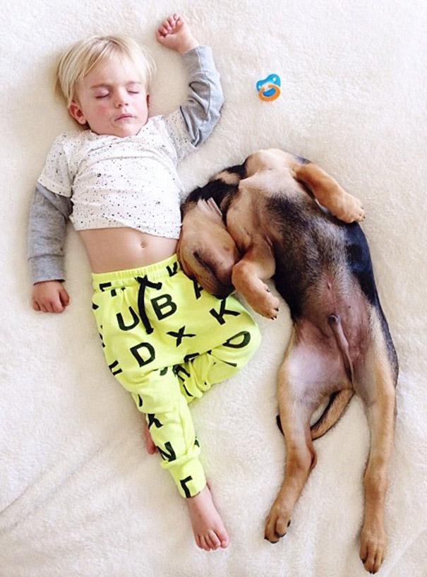toddler-naps-with-puppy-theo-and-beau-2-12.jpg