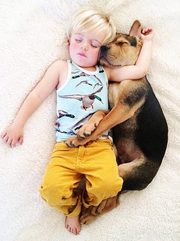 toddler-naps-with-puppy-theo-and-beau-2-18.jpg