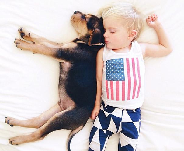 toddler-naps-with-puppy-theo-and-beau-2-5.jpg