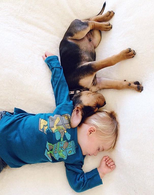 toddler-naps-with-puppy-theo-and-beau-2-6.jpg