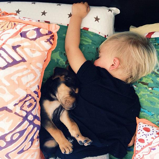 toddler-naps-with-puppy-theo-and-beau-3.jpg