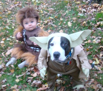 yoda-and-chewy.jpg