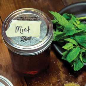 recipe-simple-syrup-mint-290x290 (2).jpg