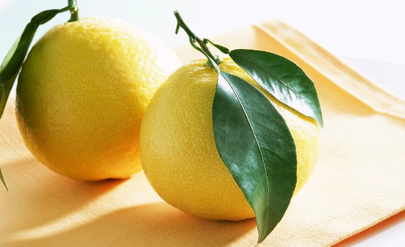 Lemon-Wallpaper-fruit-6334028-1024-768.jpg